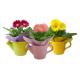 Solid Color Glazed Ceramic Planters Can Shaped Flower Pot For Indoor / Outdoor