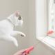 Interactive Light Cat Toys For Indoor Pet Training Tool Laser Pointer
