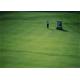 High Abrasion Resistance Golf Artificial Grass Carpet Home Outdoor Golf Putting Greens