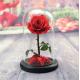 beauty and the beast roses preserved roses in glass dome rose for lover's gift