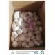 China fresh garlic export to Angola by Pioneer garlic with 10kg loose packing ctn box