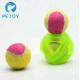 Christmas Plastic Chew Toys For Dogs Indestructable Dog Fetch Ball Set