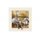 Stock Horse Image 5D Pictures Lenticular Photo Printing PET/PP Lenticular Printing