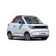 Left Steering Wuling Hongguang Mini Pure Electric Vehicle for Eco-Friendly Commuting