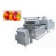 Automatic Starch Moulding Jelly Candy Gummy Making Machine 1 Year Warranty