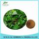 Natural Houttuynia Cordata Extract Powder 10 : 1