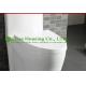 Wc Toilet With Dual Flush Ceramic One Piece , Siphon Flushing,Bathroom Sanitary Wares Chinese Wc Toilet