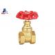 BSP Cast Iron Gate Valve 232psi Hand Wheel Gate Valve 220g Red Steel