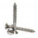 SS304 Stainless Steel Cross Head Screw DIN95 Slotted Furniture Wood Screw