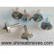 Shine Abrasives Electroplated Diamond Burr/Diamond Polishing Mounted Point Tools