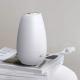 Usb Household Double Switch Air Purifying  Aroma Diffuser