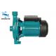 Cast Iron Body Centrifugal Agricultural Water Pump For Farm Irrigate 0.5HP 0.37KW 0.75KW