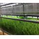 Juxiang Leafy Vegetable Greenhouse Department jx-cg-0003 Shipping Container Greenhouse