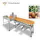 TOUPACK 300Times/Min Conveyor Sortation Systems Stainless Steel