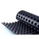 30mm-60mm HDPE Storage Drainage Board for Greenroof Membrane in Black and Green Color