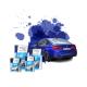 Durable Recoat Automotive Top Coat Paint With 4-6 Hours Time 2-3 Coats long lasting