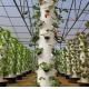 Vertical Farming Container Greenhouse in 40HQ Reefer with Hydroponic Container