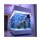 Favorable Advantage Superior Transparent Acrylic Glass Pool for Private Villa Garden