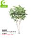 Durable No Nursing Artificial Landscape Trees , Artificial Indoor Birch Tree