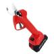 Outdoor Electric Telescopic Battery Long Reach Pole Cordless Pruner Lithium Pruning Shears