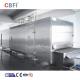 IQF Tunnel Conveyor Belt Cooling Freezing Machine For Pizza Tart Dough Tunnel Freezers