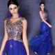 Deep V Neck Royal Blue Gold Embroidery Evening Dresses Annual Meeting Host Dress TSJY033