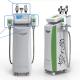 multifunctional cryolipolysis machine freezing fat machine / cryotherapy device medical CE