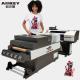 60cm Automatic DTF Printer For Direct Injection Printing Fabrics