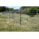 Galvanized 8 ft T fence steel post for Farms Grape posts barbed wires