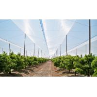 Durable Mosquito Wire Mesh , Mosquito Net Screen 30 To 125 G/M2 Weight