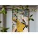 Decoration Ceramic Coated Glazed Enameled Glass Panel With Birds