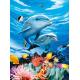 BSCI Lenticular 3D Pictures For Hotel Decoration / 3D Animals Photos