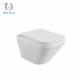 Luxury Bathroom Wall Hung Toilet Bowl Dual Flush 505*305*360mm Nano Glaze