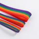 2cm 5cm Rainbow Webbing 0.5mm Thickness Woven Polypropylene Webbing