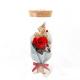Clear Durable Wishing Mini Rose Bottles Perfect Gift For Valentines Day