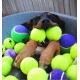 Eco-friendly Pet toys for dogs playing