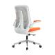 Eco Friendly Ergonomic Computer Chair STG Mechanism Adaptive Coil Spring Office Chair