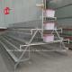 High Stability Poultry Battery Cage System Layer Hens In Africa ISO9001 Emily