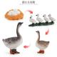 Goose Life Cycle Figure Model Toy For Boys Girls Kids