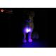 Metal Lead Cat Pet Dog LED Light Collar Tag Safety Flasher Blinker Keychain