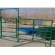 Livestock Horse Farm Fence Panels , Steel Cattle Fence Panels Easy Assemble