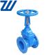 OS＆Y Resilient Seated Gate Valve Rising Stem OEM/ODM