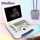 Professional Body High Intensity Focused Ultrasound Human Care Machine