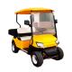 Custom Club EV Cargo Golf Truck Cart Utility Vehicle 20mph-40mph