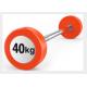 RAPID Gym Equipment Accessories / Gym Weights Dumbbells For Aerobic / Anaerobic Exercise