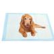 Extra Large Pet Dog Urine Training Pads for Puppies Blue CE ISO Certified
