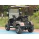 2 Person Golf Cart Buggy 25-40Mph Electric Power Lithium Battery Low Price