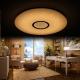 Smart Stylish Remote Control Ceiling Light , Wireless Light Fixtures For