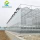 12m Width Agricultural Glass Greenhouse Residential Hydroponic Strawberry Greenhouse