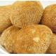 Lions mane mushroom extract 20%,4:1  Stimulated nerve,myelination and animal nerve system